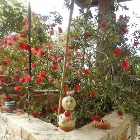 In Campagna Immersa Nel Villa *