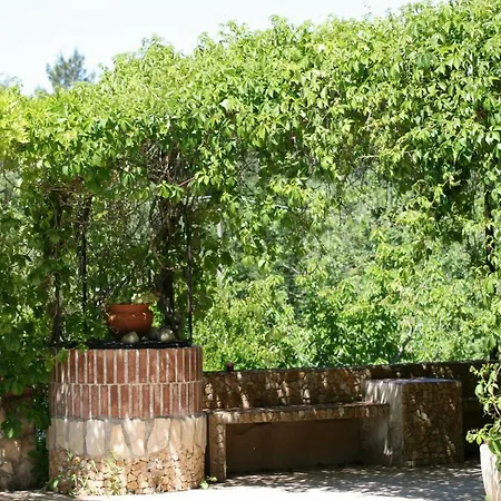 In Campagna Immersa Nel *